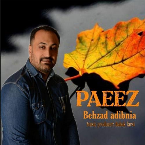 بهزاد ادیب نیا پاییز